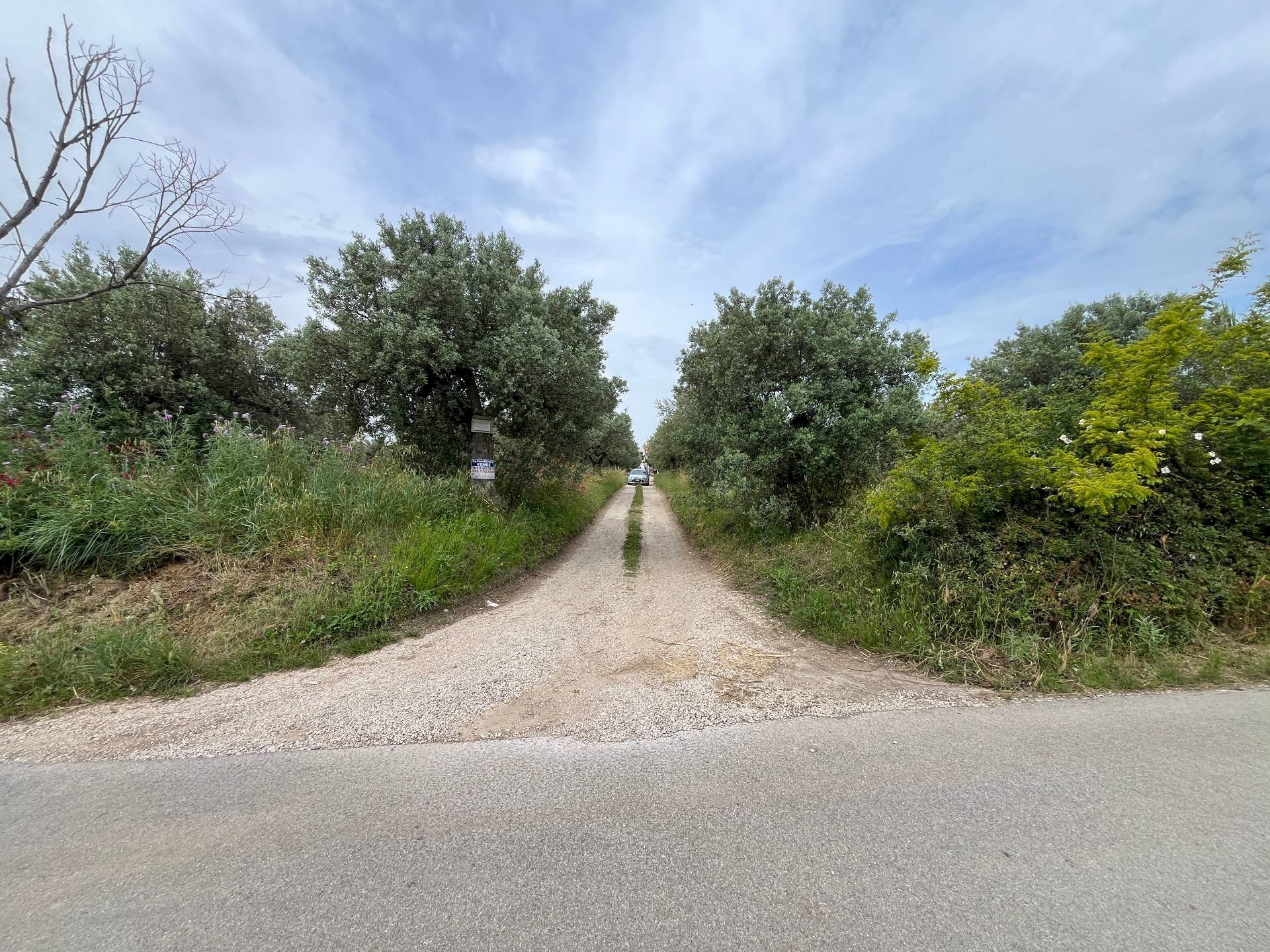 Foto 3 - Terreno agricolo VIA SAN ROCCO, Vasto - foto 3