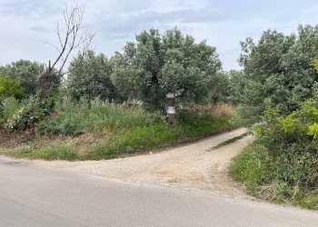 Foto 1 - Terreno agricolo VIA SAN ROCCO, Vasto - foto 1