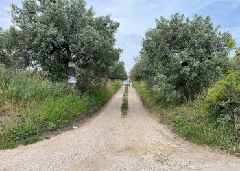 Foto 2 - Terreno agricolo VIA SAN ROCCO, Vasto - foto 2