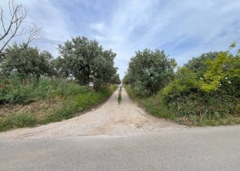 Foto 3 - Terreno agricolo VIA SAN ROCCO, Vasto - foto 3