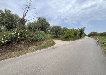Foto 4 - Terreno agricolo VIA SAN ROCCO, Vasto - foto 4