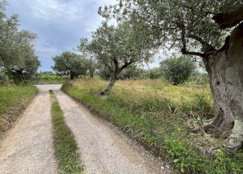 Foto 6 - Terreno agricolo VIA SAN ROCCO, Vasto - foto 6