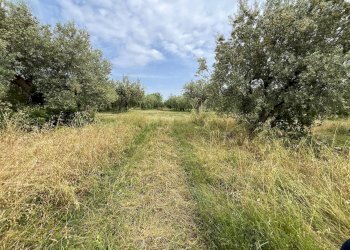 Foto 7 - Terreno agricolo VIA SAN ROCCO, Vasto - foto 7