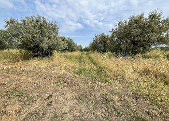 Foto 8 - Terreno agricolo VIA SAN ROCCO, Vasto - foto 8