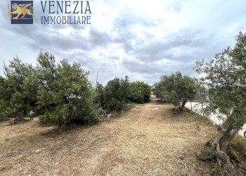 Foto 7 - Terreno edificabile Via dei Limoni, Sciacca - foto 7