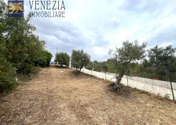 Foto 8 - Terreno edificabile Via dei Limoni, Sciacca - foto 8