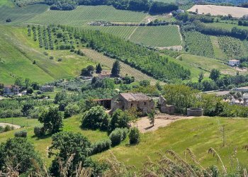 Foto 7 - Rustico Contrada Cabiano, Ripatransone - foto 7