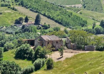 Foto 9 - Rustico Contrada Cabiano, Ripatransone - foto 9