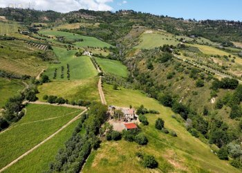 Foto 38 - Rustico Contrada Cabiano, Ripatransone - foto 38