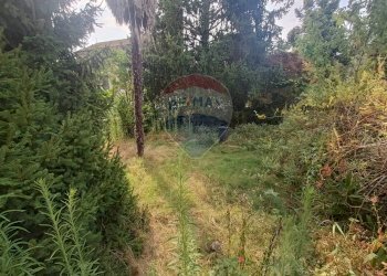 Giardino - Casa semi indipendente via San Remigio
 
59, Busto Garolfo - foto 20