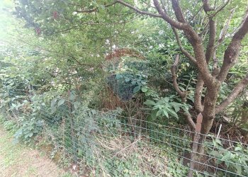 Giardino - Rustico via San Remigio
 
59, Busto Garolfo - foto 8