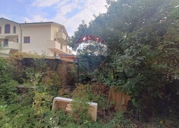 Giardino - Rustico via San Remigio
 
59, Busto Garolfo - foto 9