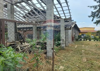 Giardino - Casa indipendente Via per Cascina Malpiazza
 
snc, Corbetta - foto 13