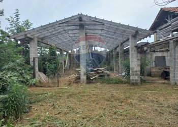 Giardino - Casa indipendente Via per Cascina Malpiazza
 
snc, Corbetta - foto 16