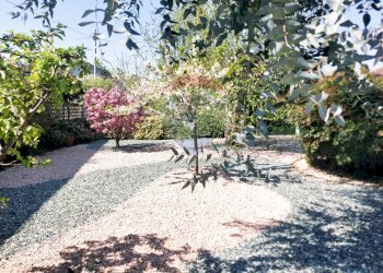 Giardino - Casa indipendente Via Graziosi, Tornaco - foto 34