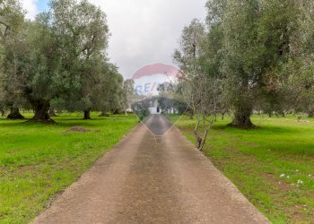 Giardino - Baita Contrada Natalicchio
 
snc, Ceglie Messapica - foto 9