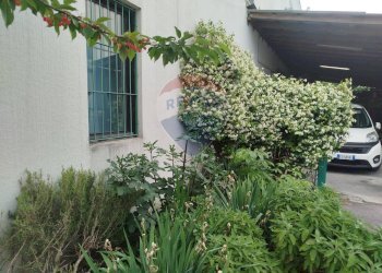 Giardino - Capannone Via delle Industrie 9, Dresano - foto 29