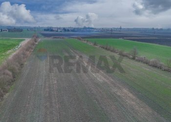 Vista delle montagne - Villa Villadose - foto 23