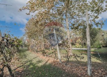 Giardino - Villa Strada Coramina
 
52, Ostellato - foto 11