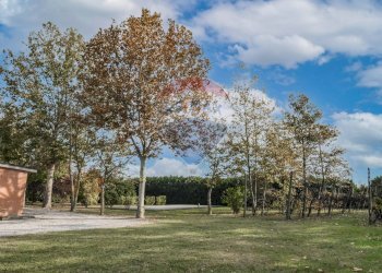 Giardino - Villa Strada Coramina
 
52, Ostellato - foto 14