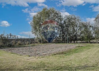 Giardino - Villa Strada Coramina
 
52, Ostellato - foto 16