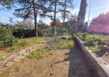 Giardino - Villa Piombino - foto 22
