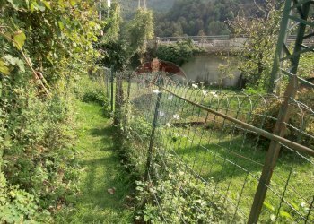 Giardino - Casa semi indipendente Strada provinciale delle valli di lanzo
 
101, Pessinetto - foto 21