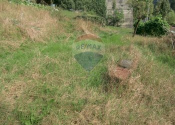 Giardino - Casa semi indipendente Strada provinciale delle valli di lanzo
 
101, Pessinetto - foto 24