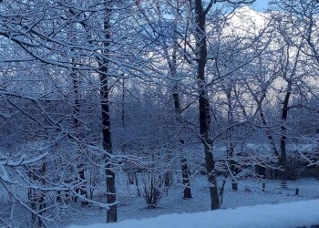 Non correlato - Casa semi indipendente Via Orsiera
 
27, Mattie - foto 108