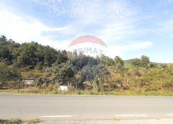 Non correlato - Terreno edificabile strada provinciale 453
144, Ortovero - foto 3