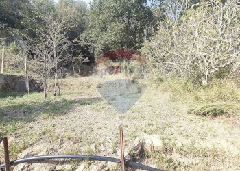 Giardino - Terreno edificabile strada provinciale 453
144, Ortovero - foto 6