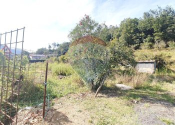 Giardino - Terreno edificabile strada provinciale 453
144, Ortovero - foto 11