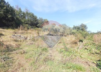 Non correlato - Terreno edificabile strada provinciale 453
144, Ortovero - foto 16