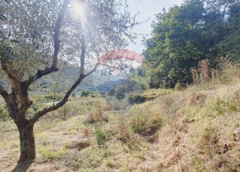 Vista delle montagne - Terreno edificabile strada provinciale 453
144, Ortovero - foto 19