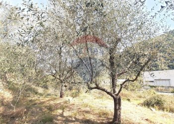 Non correlato - Terreno edificabile strada provinciale 453
144, Ortovero - foto 21