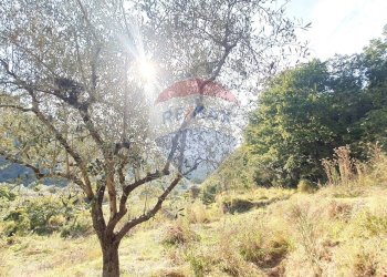 Non correlato - Terreno edificabile strada provinciale 453
144, Ortovero - foto 22