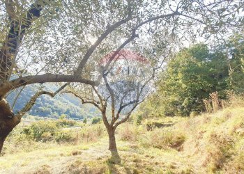 Giardino - Terreno edificabile strada provinciale 453
144, Ortovero - foto 23