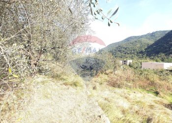 Vista delle montagne - Terreno edificabile strada provinciale 453
144, Ortovero - foto 25