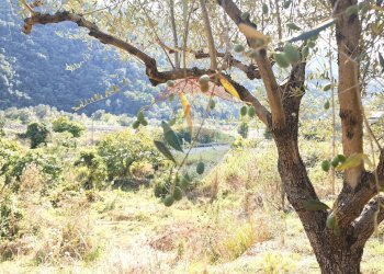 Vista delle montagne - Terreno edificabile strada provinciale 453
144, Ortovero - foto 26