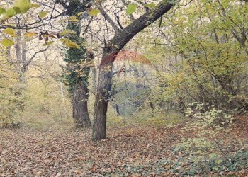 Giardino - Casa semi indipendente via vallone
 
17, Mattie - foto 44