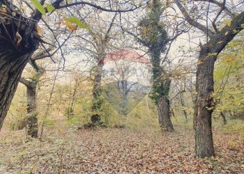 Non correlato - Casa semi indipendente via vallone
 
17, Mattie - foto 45