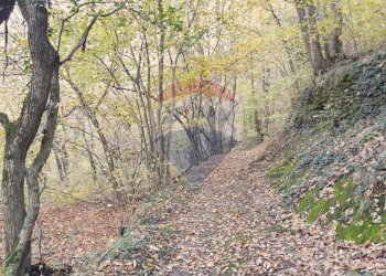 Giardino - Casa semi indipendente via vallone
 
17, Mattie - foto 46