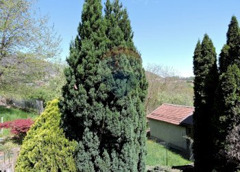 Giardino - Casa semi indipendente Borgata Peata
 
3, Giaveno - foto 125