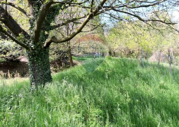 Giardino - Casa semi indipendente Borgata Peata
 
3, Giaveno - foto 134