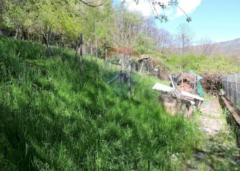 Giardino - Casa semi indipendente Borgata Peata
 
3, Giaveno - foto 137