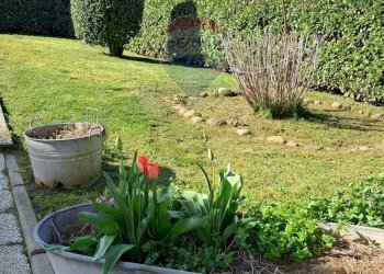 Giardino - Casa indipendente via conturbia
 
3, Suno - foto 11