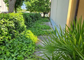 Foto 41 - Villa a Schiera S.Orso, Fano - foto 41