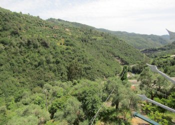 Foto 8 - Appartamento regione Pozzuolo, Dolceacqua - foto 8