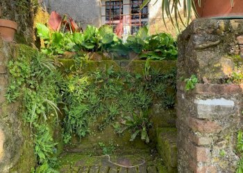 Giardino - Casa indipendente Barga - foto 22