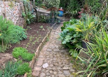 Giardino - Casa indipendente Barga - foto 25